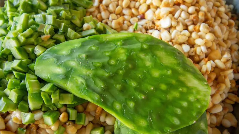 Tortillas de nopal